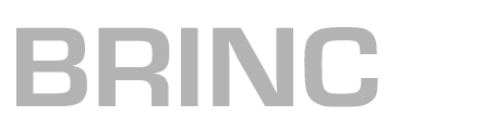 Brincio_Logo.png